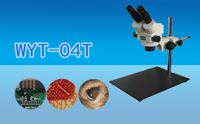 體視91好色先生TV.jpg 體視91好色先生TV.jpg