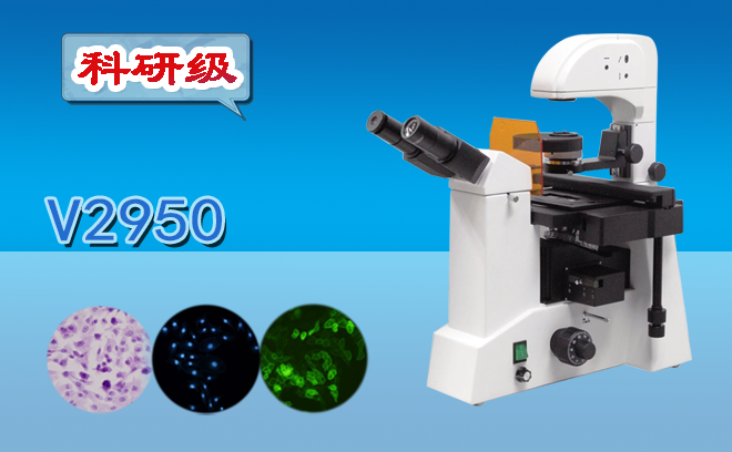 熒光91好色先生TV.png 熒光91好色先生TV.png