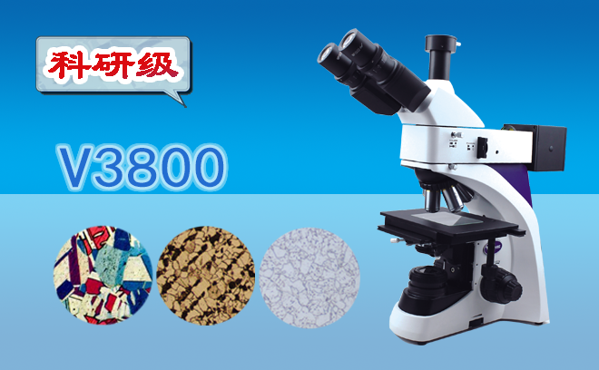 1668738547138661.png 金相91好色先生TV.png