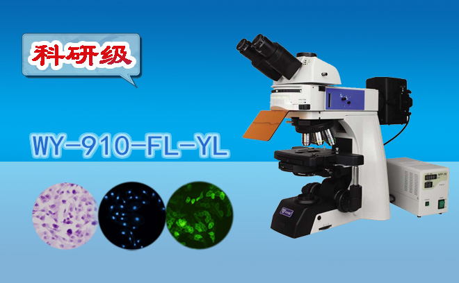 1671081533186168.png 熒光91好色先生TV.png